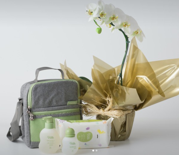 Orquídea Phalaenopsis Branca e Conjunto Natura Mamãe e Bebê