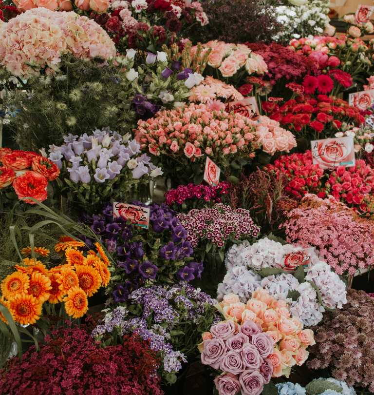 Design sem nome (22)