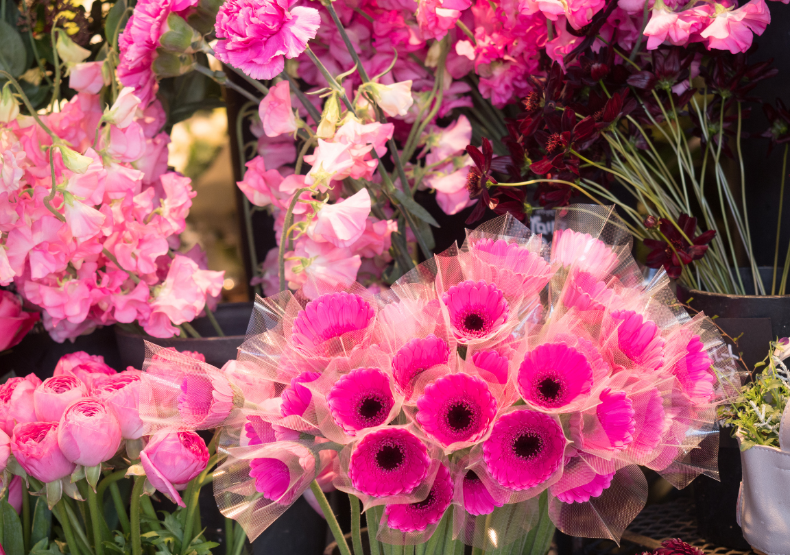 Design sem nome (27)