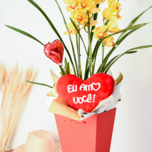 Orquídea Raio de Sol